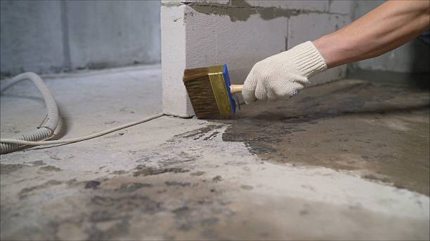 Top rated local Waterproofing specialists in Burr Hill, VA